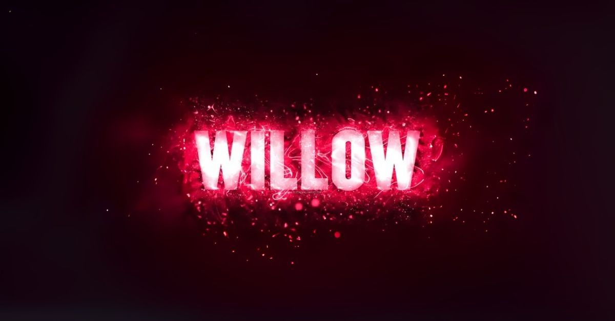 Spiritual Meanings Behind the Name Willow