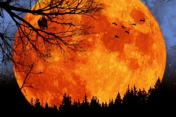 Harvest Moon Meaning Spiritual