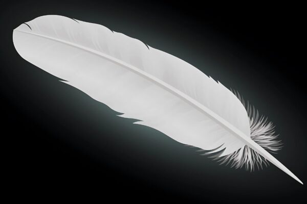 Spiritual Meaning of a White Feather