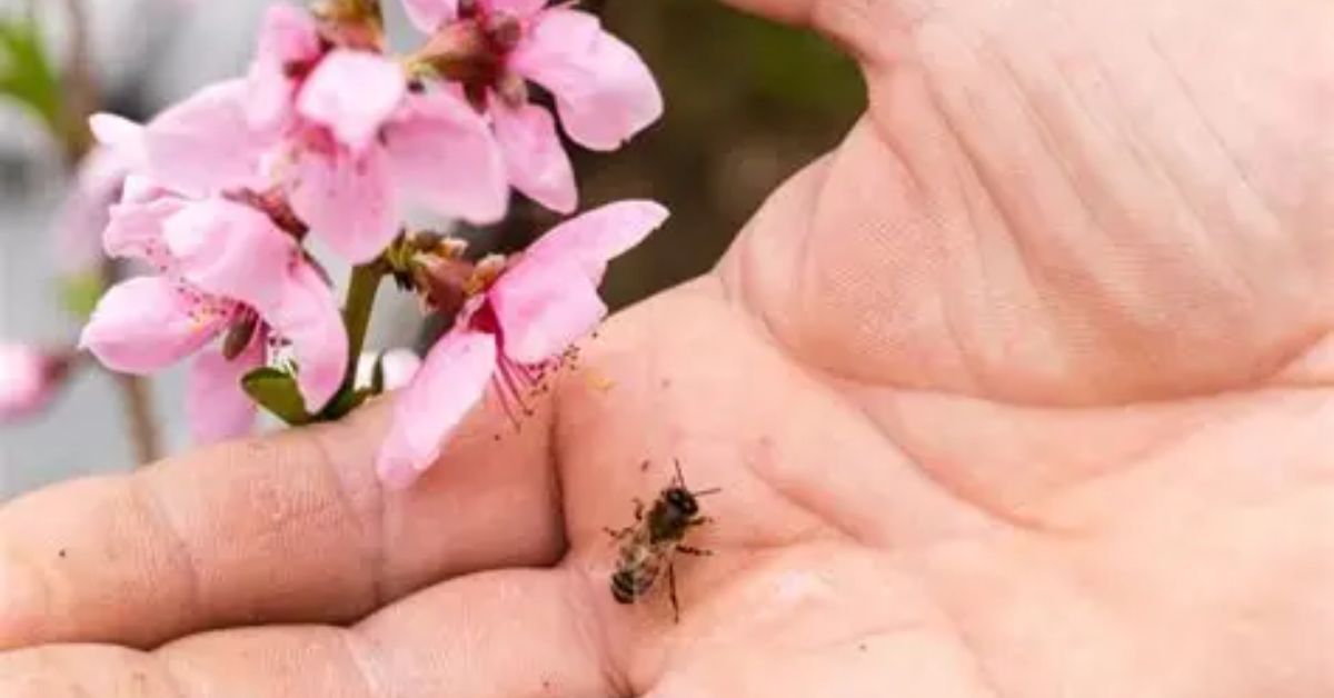 Recognizing the Significance of Bee Encounters