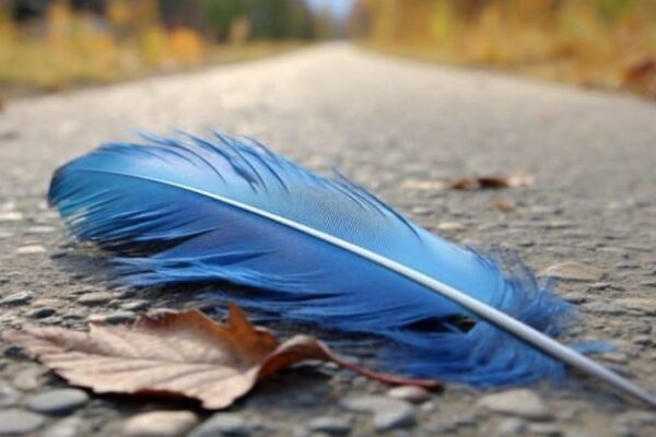 Finding a Feather Spiritual Meaning