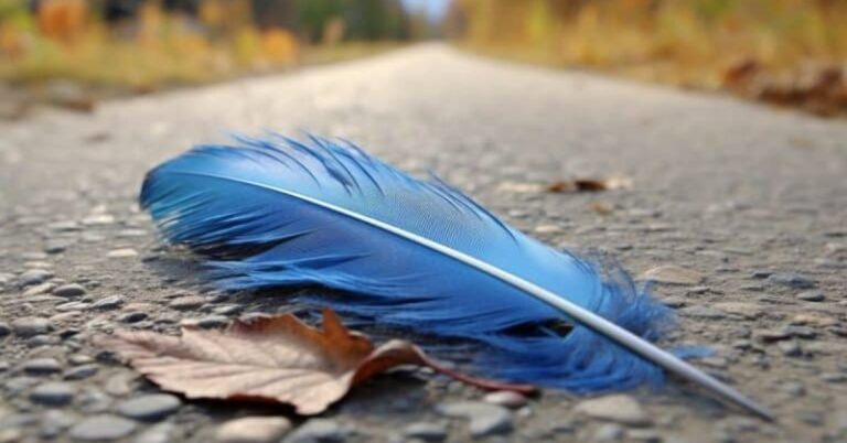 Finding a Feather Spiritual Meaning